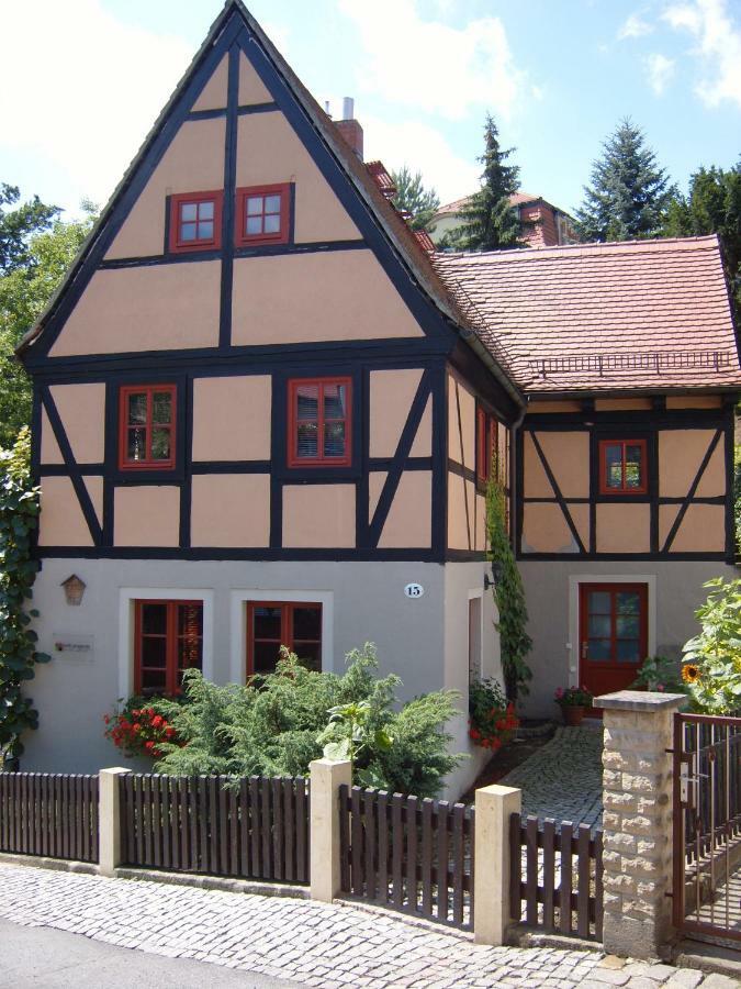 Вілла Winzerhaus Rissweg 15 Дрезден Екстер'єр фото